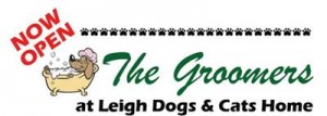 GROOMER FLYER header